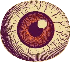 A graphical illustration of rays coming from a center point, animated to slowly rotate 360 degrees.